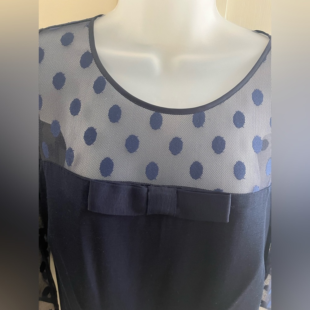 Elegant Navy Blue Dress with Sheer Polka Dot Sleeves - Picture 2 of 5